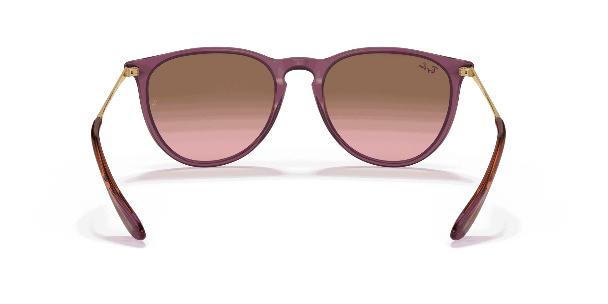 [Pink Gradient Brown Lenses, Polished Transparent Violet Frame]