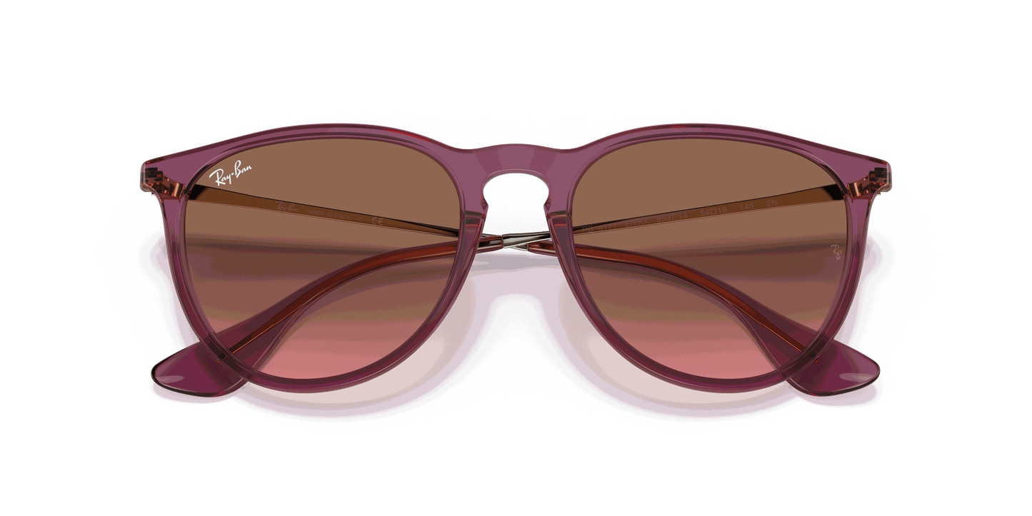 [Pink Gradient Brown Lenses, Polished Transparent Violet Frame]