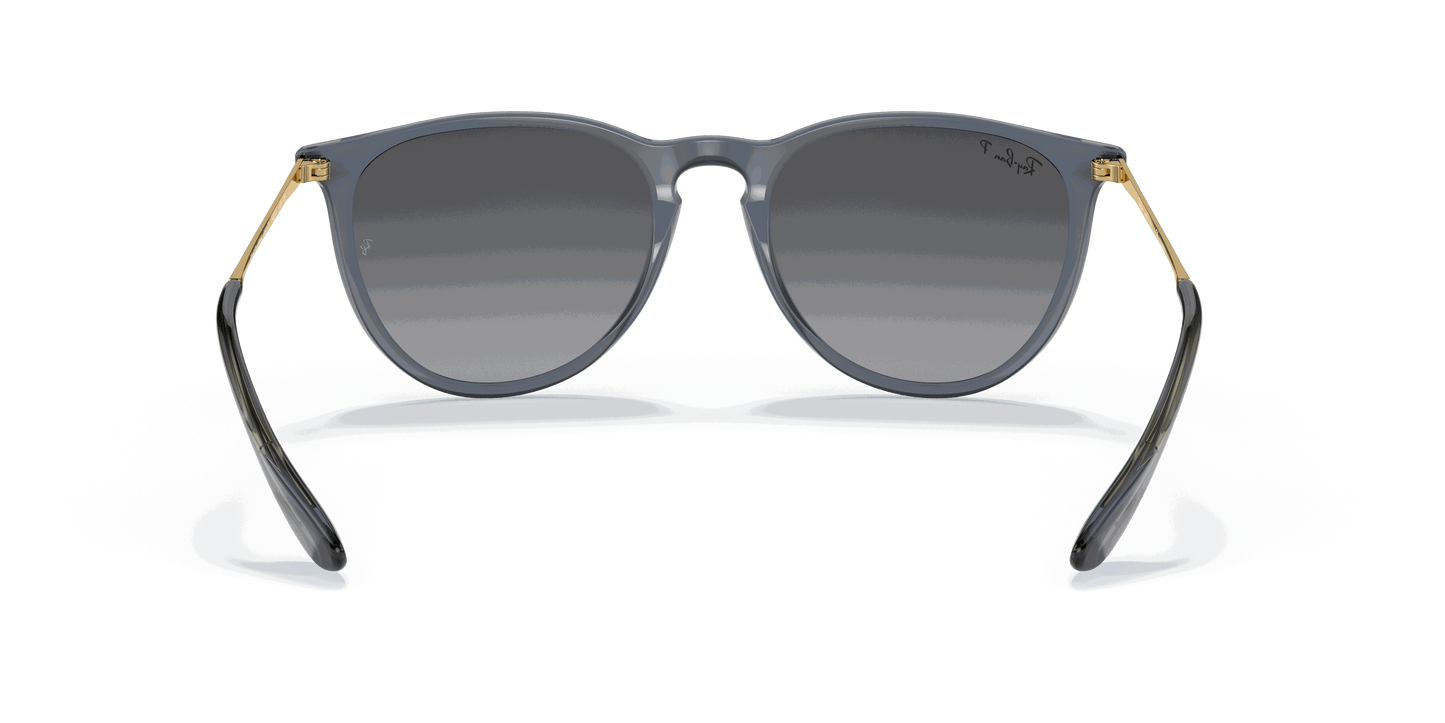 [Grey Lenses, Polished Transparent Blue Frame]