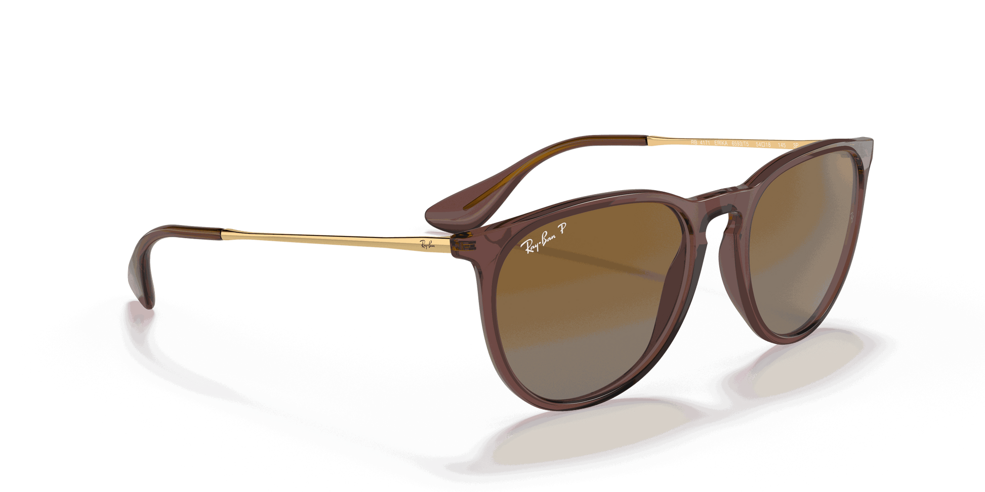 [Brown Gradient Polar Lenses, Polished Transparent Dark Brown Frame]