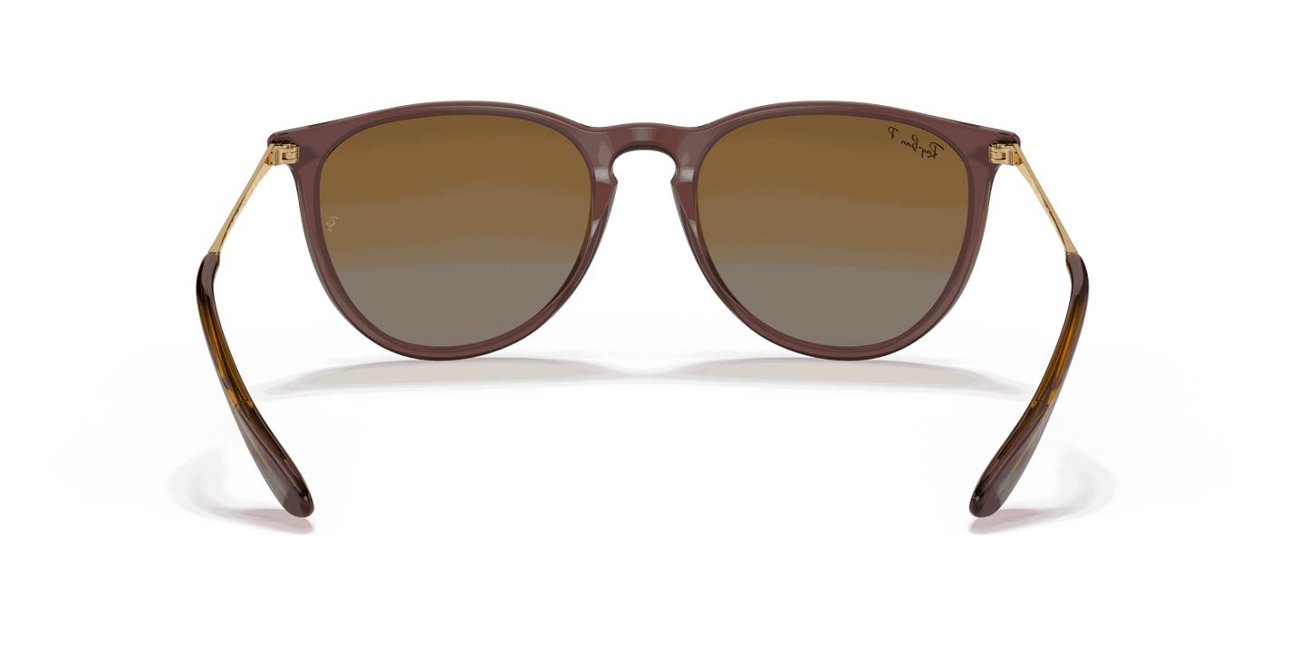 [Brown Gradient Polar Lenses, Polished Transparent Dark Brown Frame]