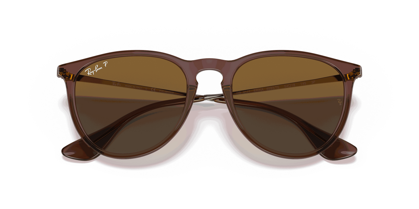 [Brown Gradient Polar Lenses, Polished Transparent Dark Brown Frame]