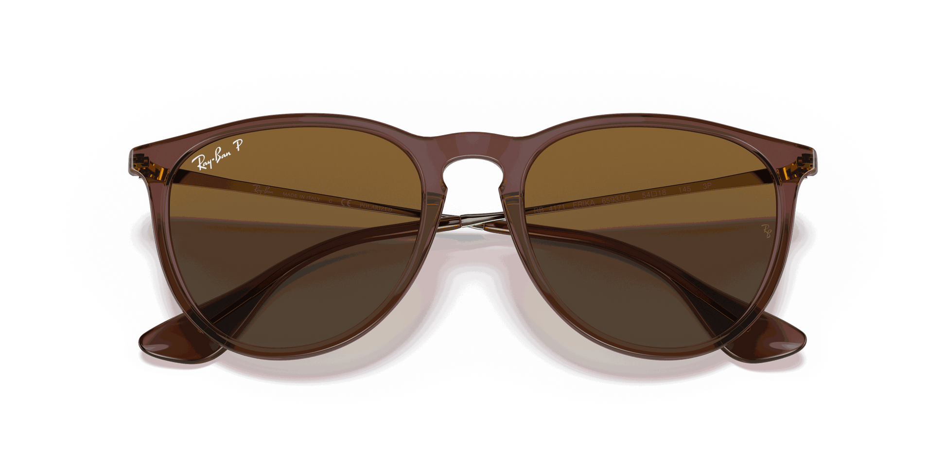 [Brown Gradient Polar Lenses, Polished Transparent Dark Brown Frame]