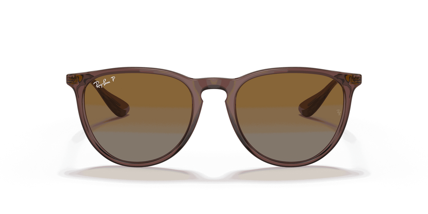 [Brown Gradient Polar Lenses, Polished Transparent Dark Brown Frame]