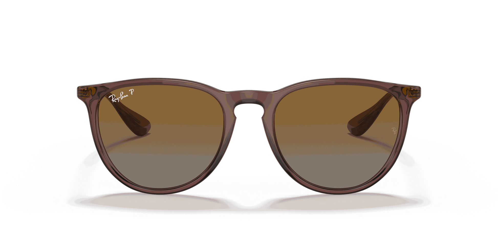 [Brown Gradient Polar Lenses, Polished Transparent Dark Brown Frame]