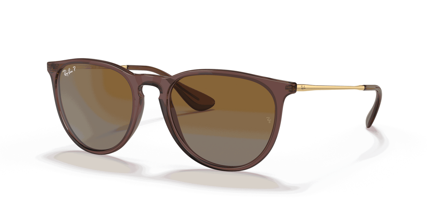 [Brown Gradient Polar Lenses, Polished Transparent Dark Brown Frame]
