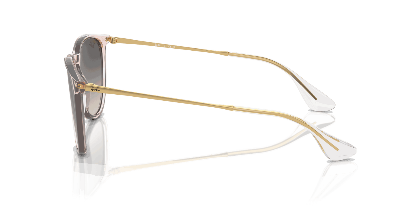 [Grey Lenses, Polished Transparent Pink Frame]