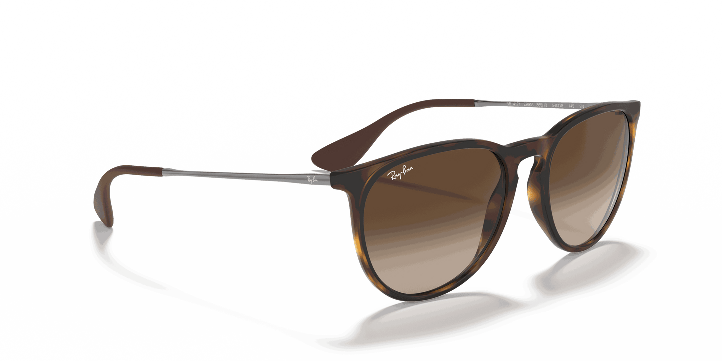 [Brown Lenses, Matte Havana Frame]