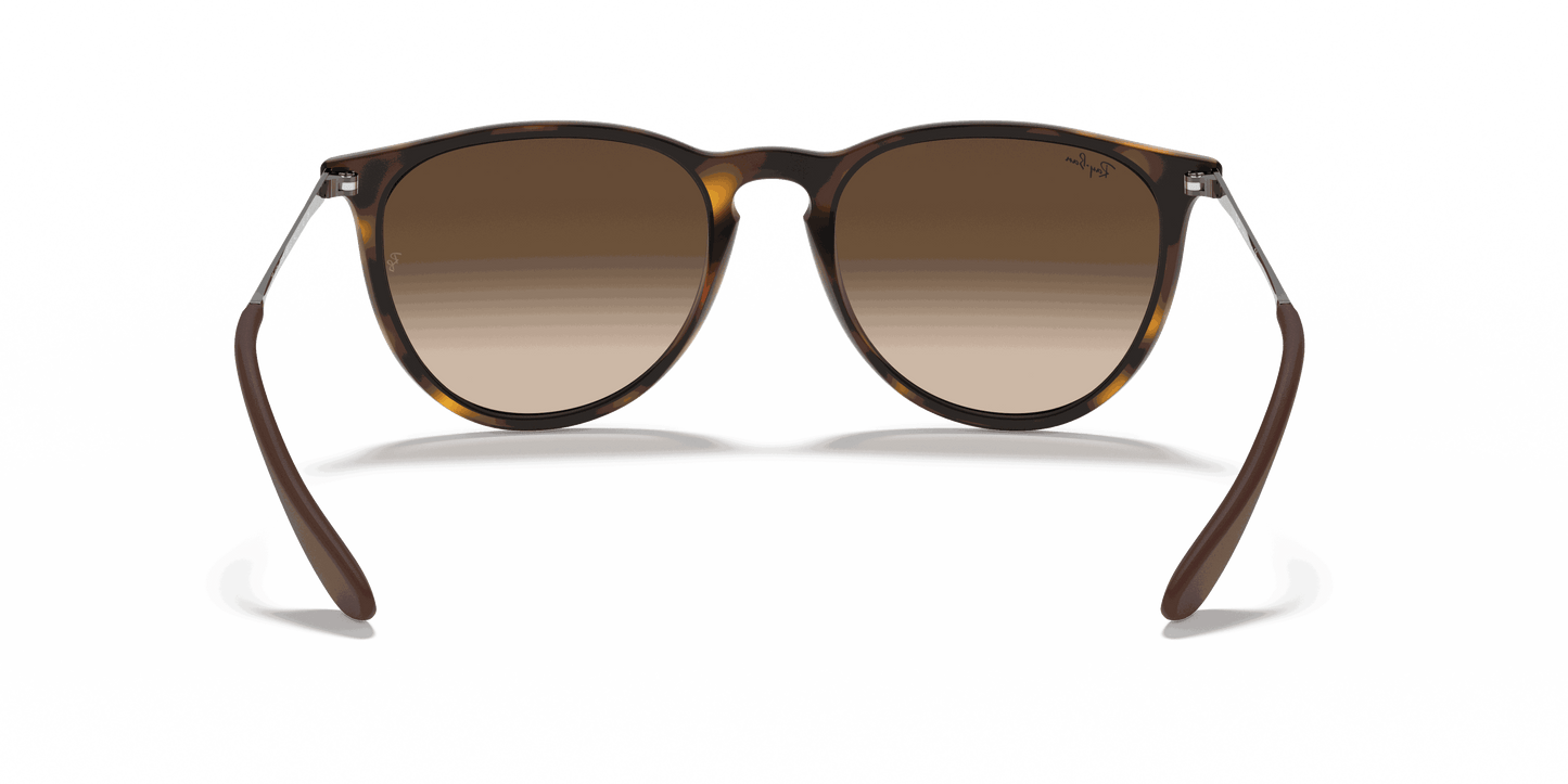 [Brown Lenses, Matte Havana Frame]
