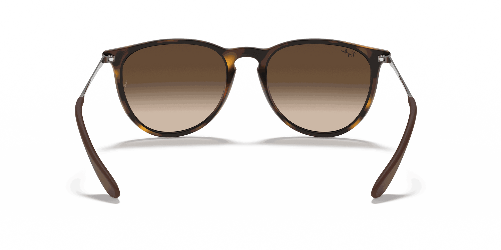 [Brown Lenses, Matte Havana Frame]