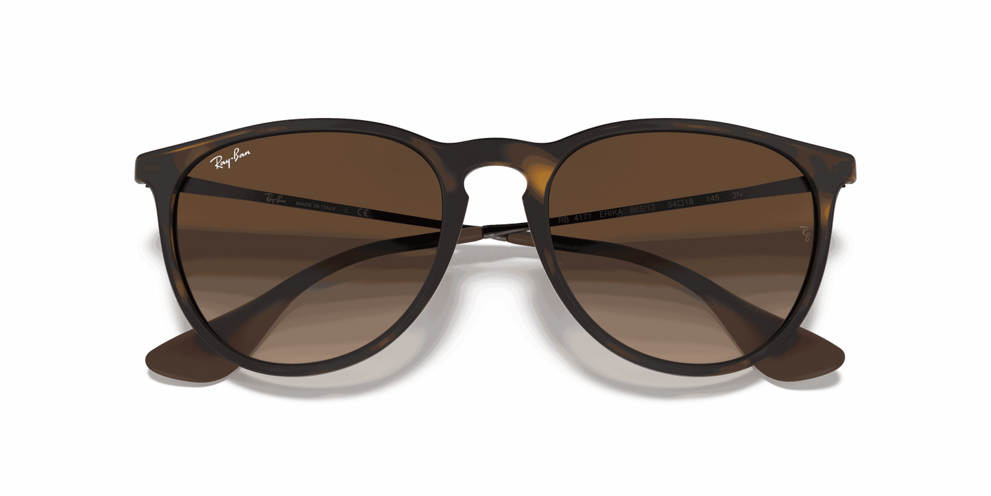 [Brown Lenses, Matte Havana Frame]