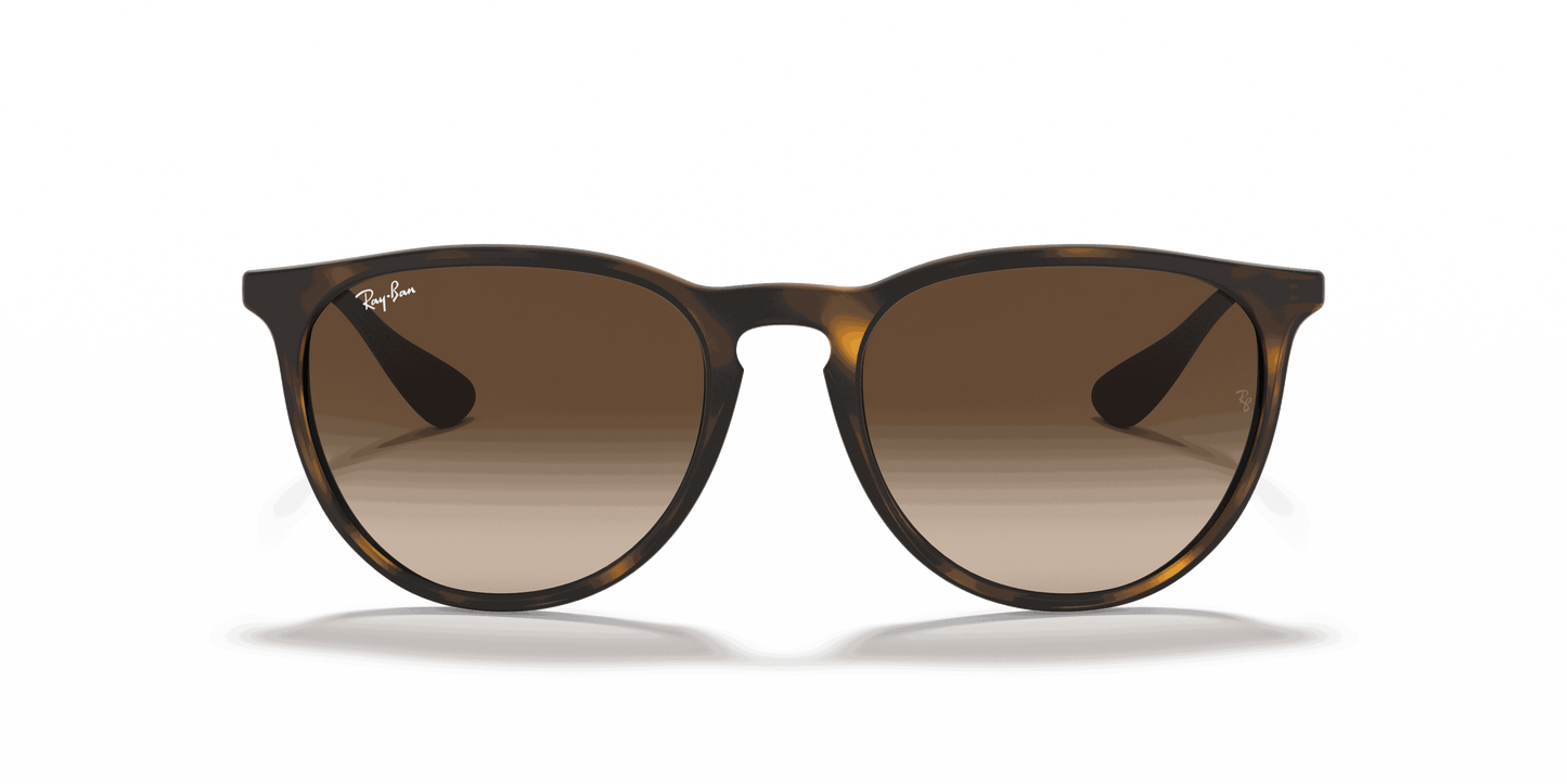 [Brown Lenses, Matte Havana Frame]