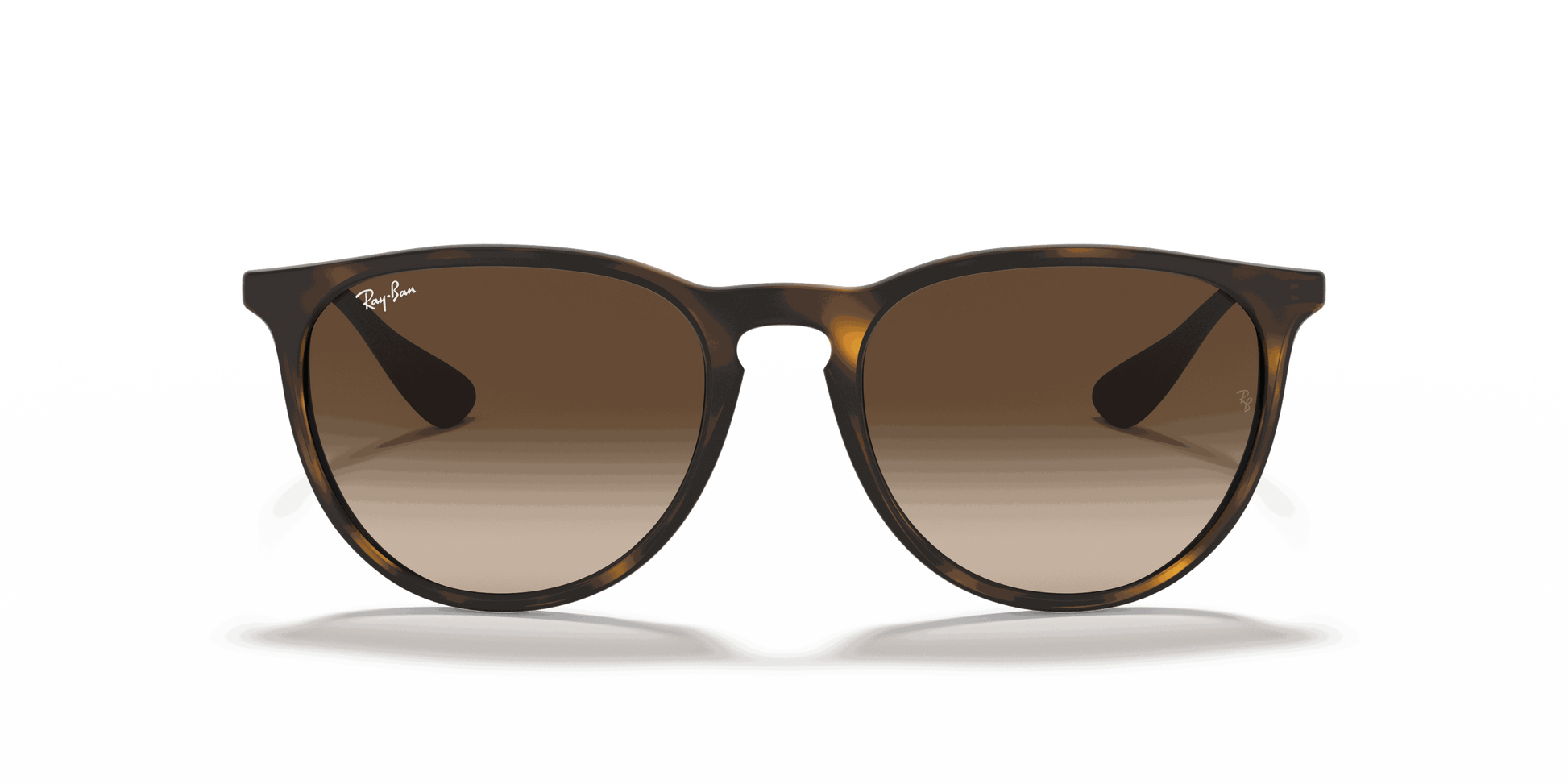 [Brown Lenses, Matte Havana Frame]