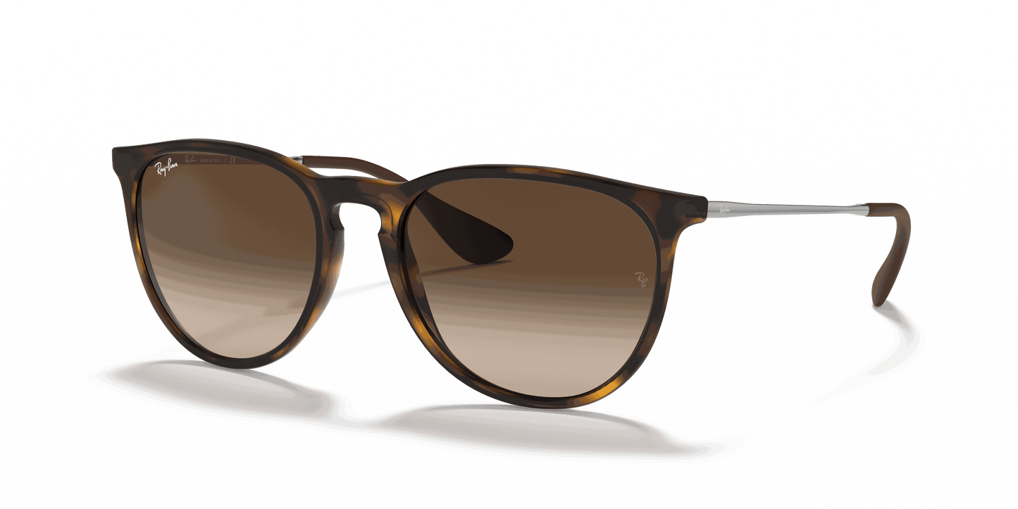 [Brown Lenses, Matte Havana Frame]