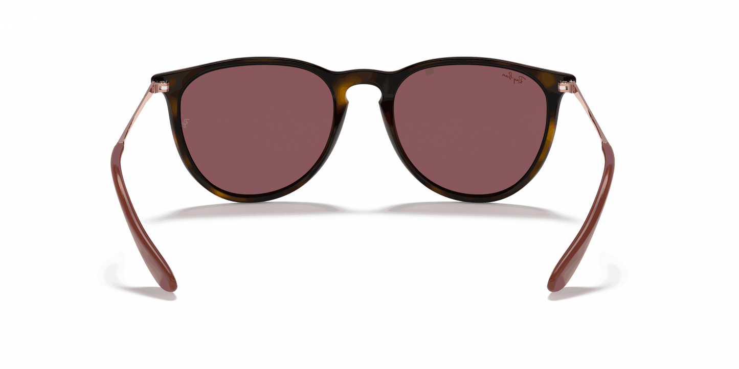 [Dark Violet Lenses, Polished Havana Frame]