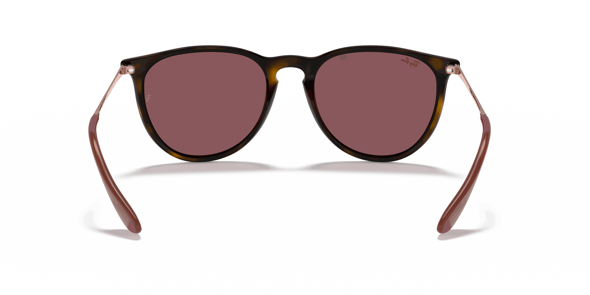 [Dark Violet Lenses, Polished Havana Frame]