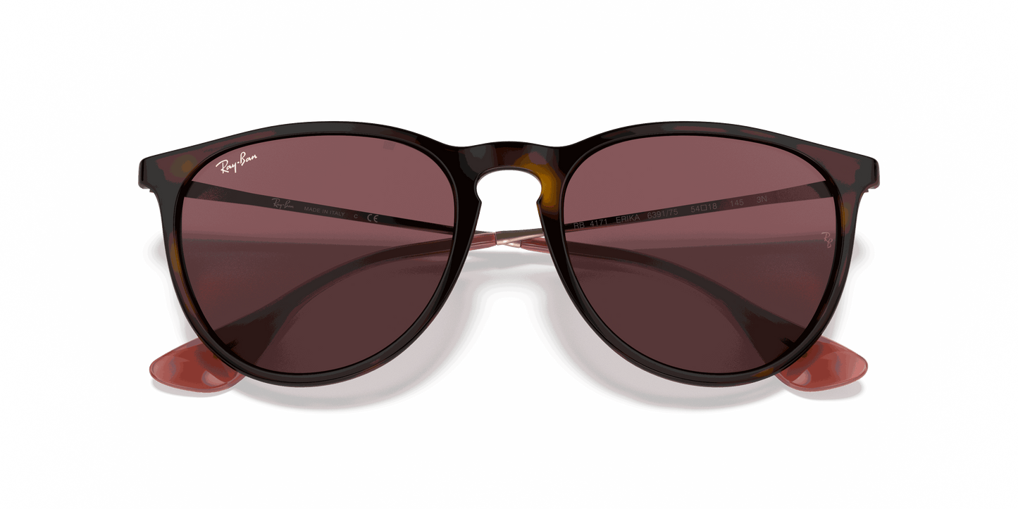 [Dark Violet Lenses, Polished Havana Frame]