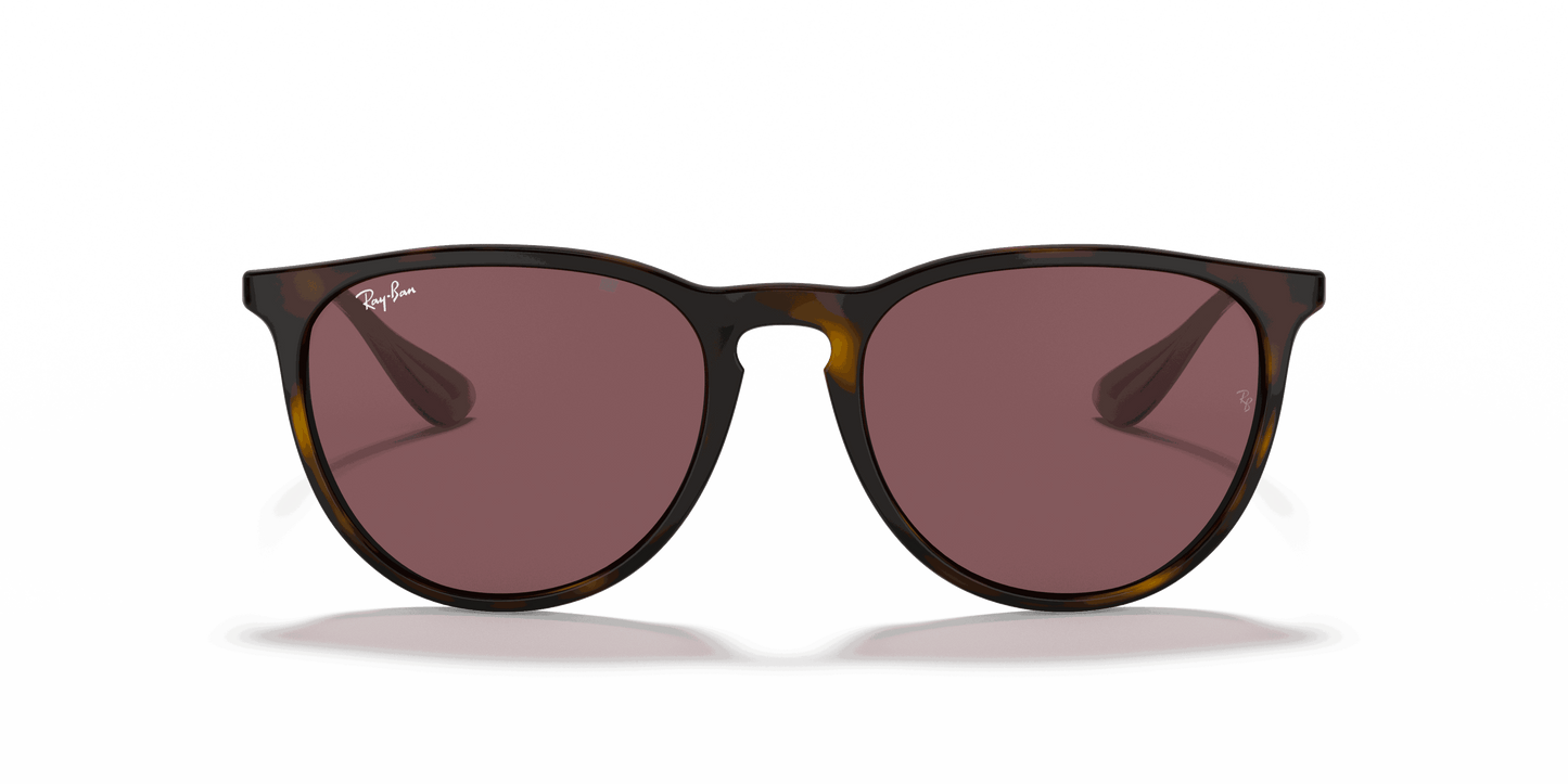 [Dark Violet Lenses, Polished Havana Frame]