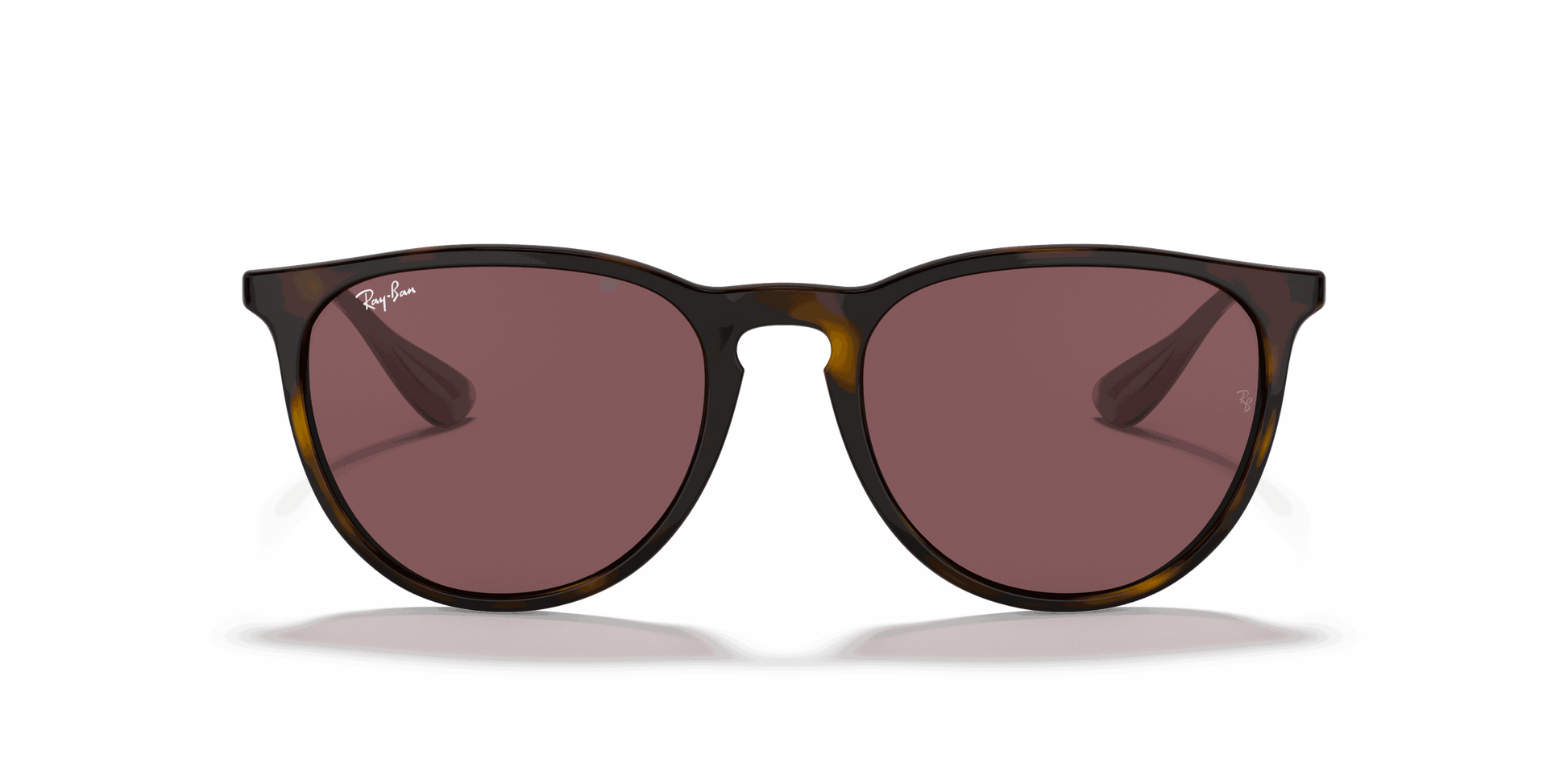 [Dark Violet Lenses, Polished Havana Frame]