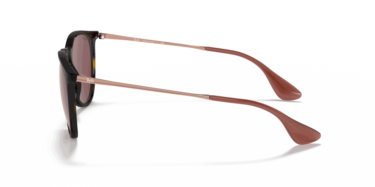[Dark Violet Lenses, Polished Havana Frame]