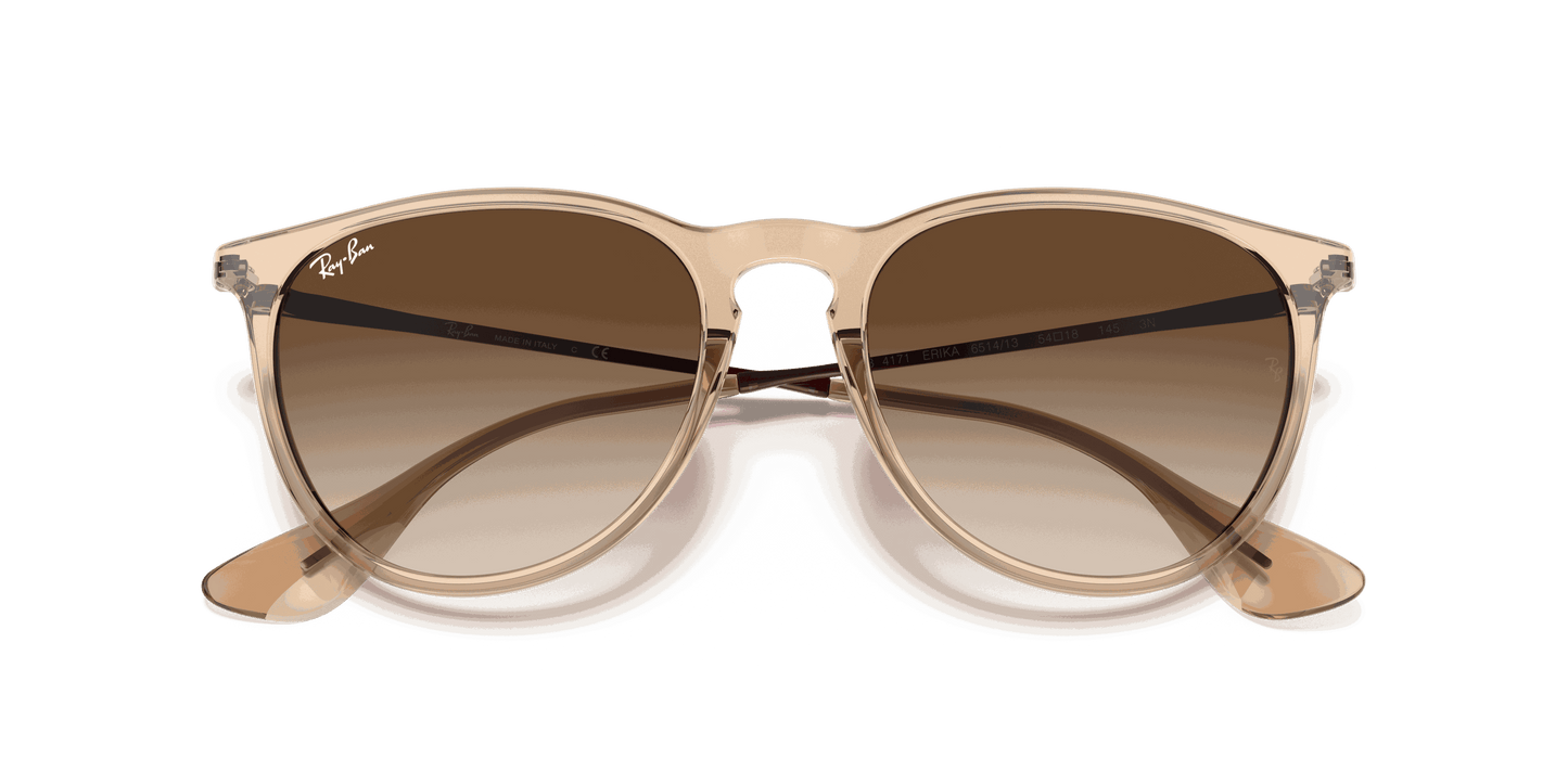 [Brown Gradient Lenses, Polished Transparent Brown Frame]