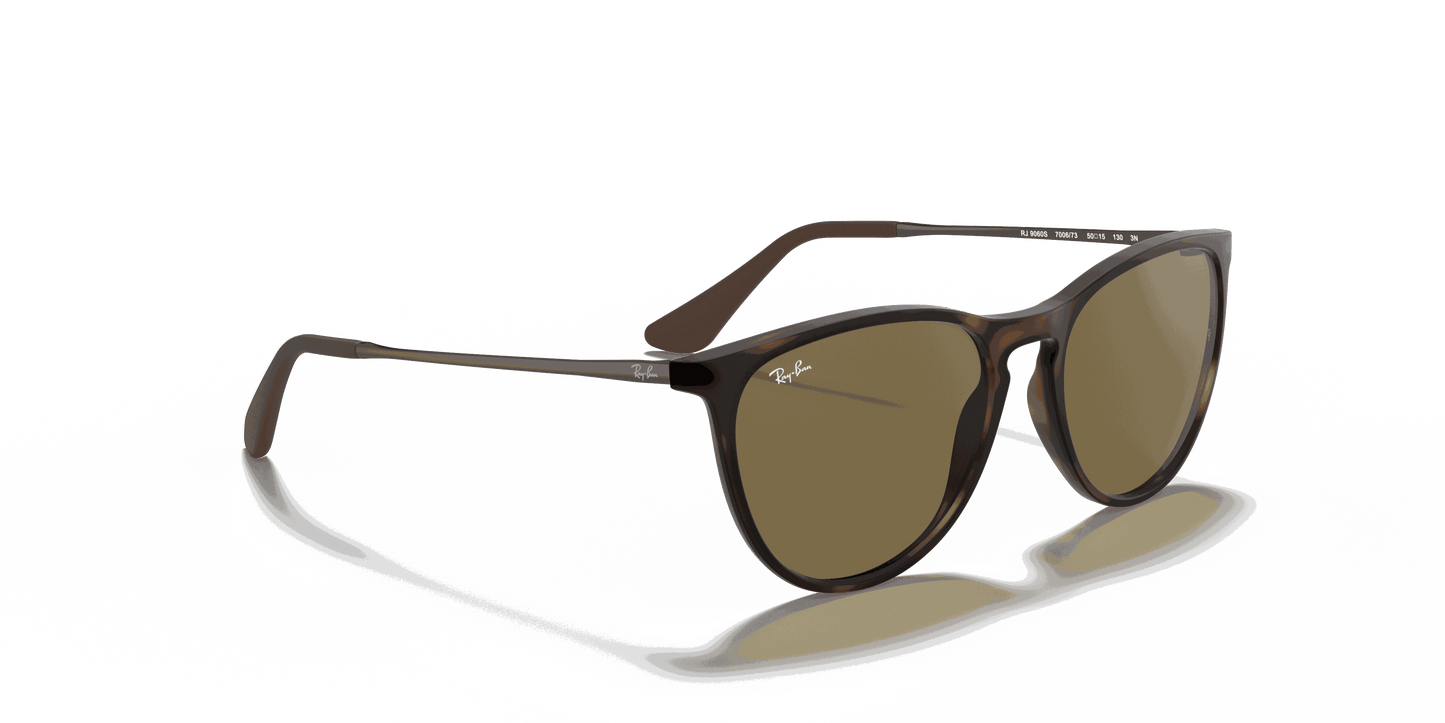 [Brown Lenses, Matte Havana Frame]