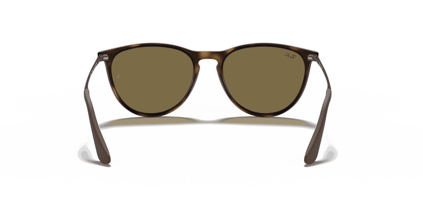 [Brown Lenses, Matte Havana Frame]