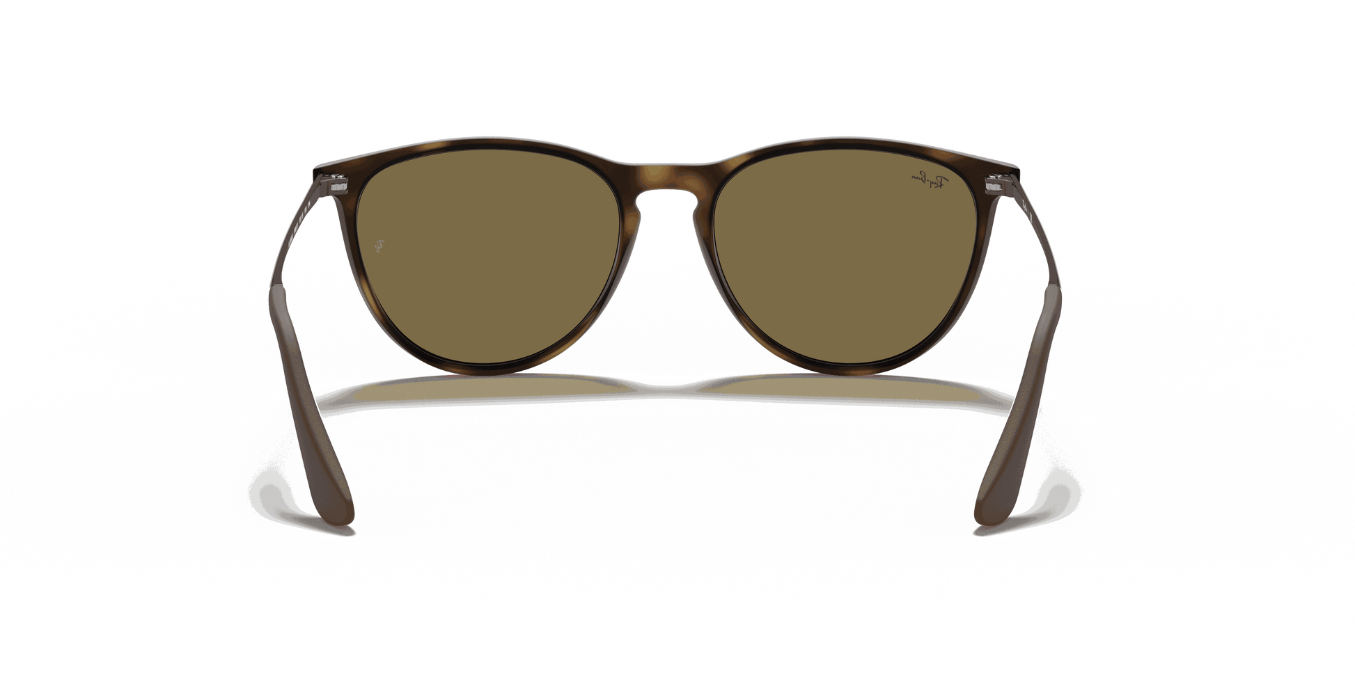 [Brown Lenses, Matte Havana Frame]