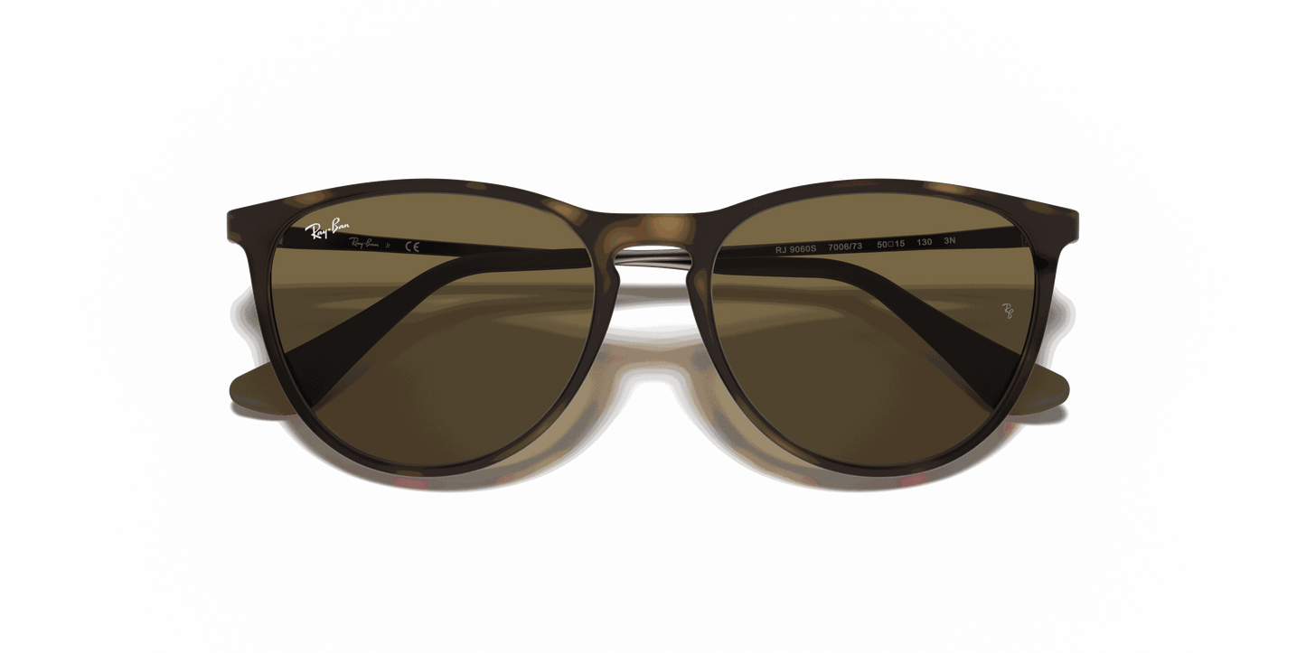 [Brown Lenses, Matte Havana Frame]