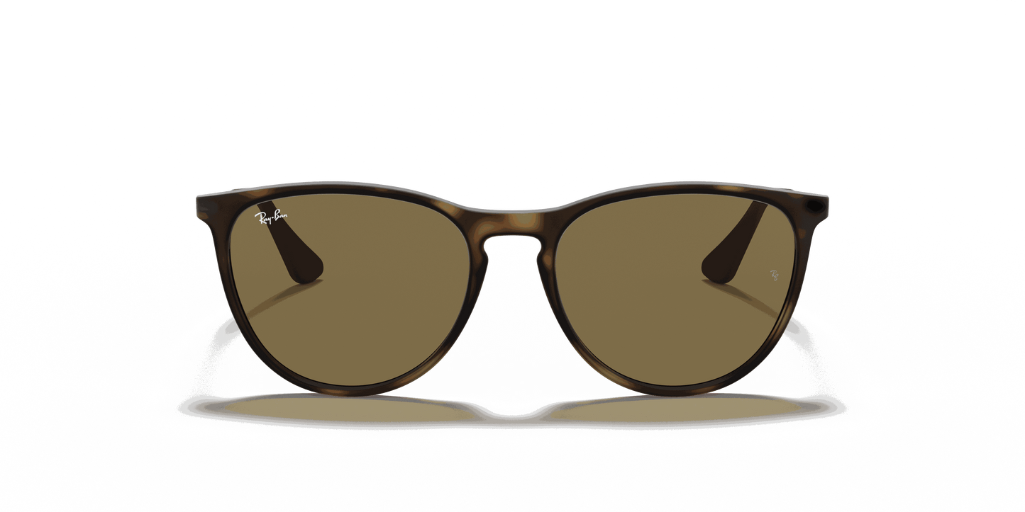 [Brown Lenses, Matte Havana Frame]