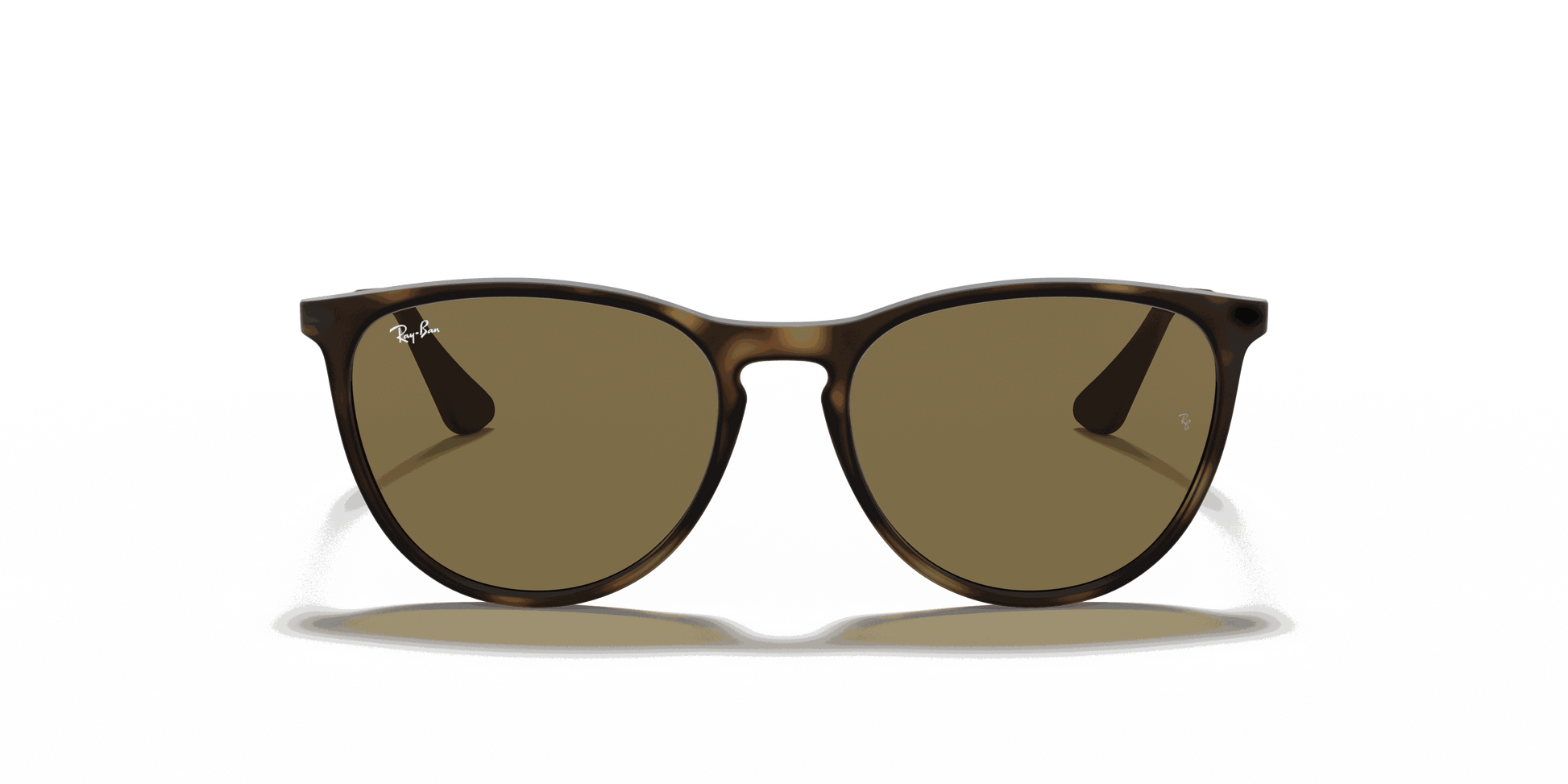 [Brown Lenses, Matte Havana Frame]