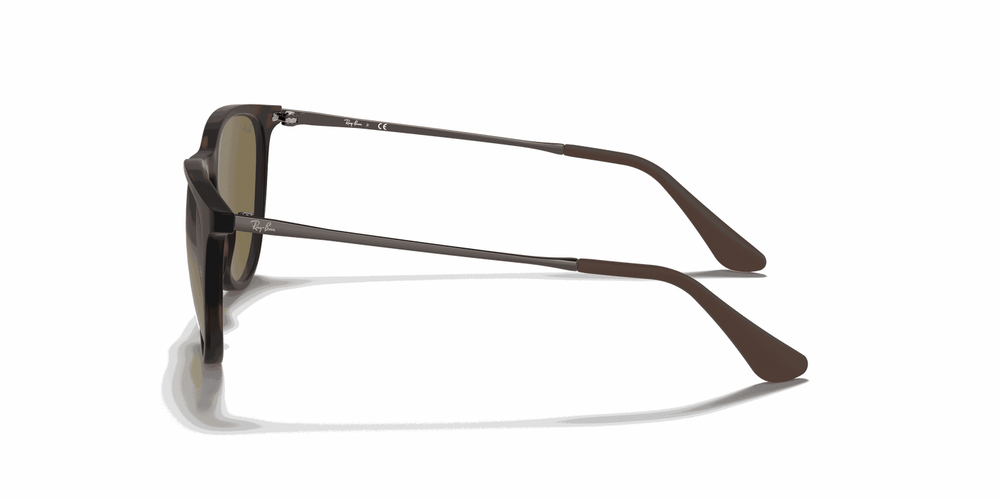 [Brown Lenses, Matte Havana Frame]