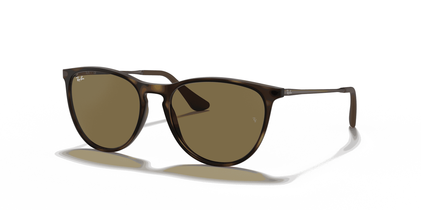 [Brown Lenses, Matte Havana Frame]