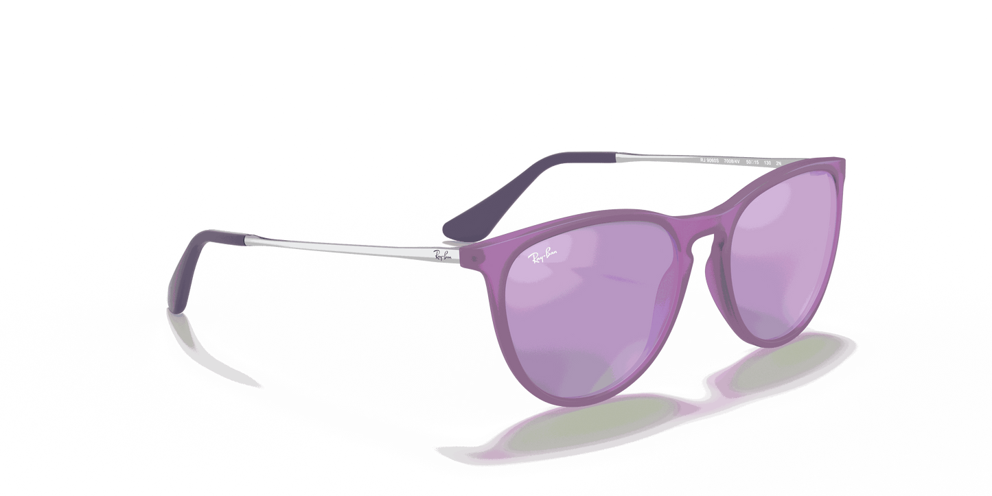 [Grey/Violet Lenses, Matte Violet Fluo Frame]