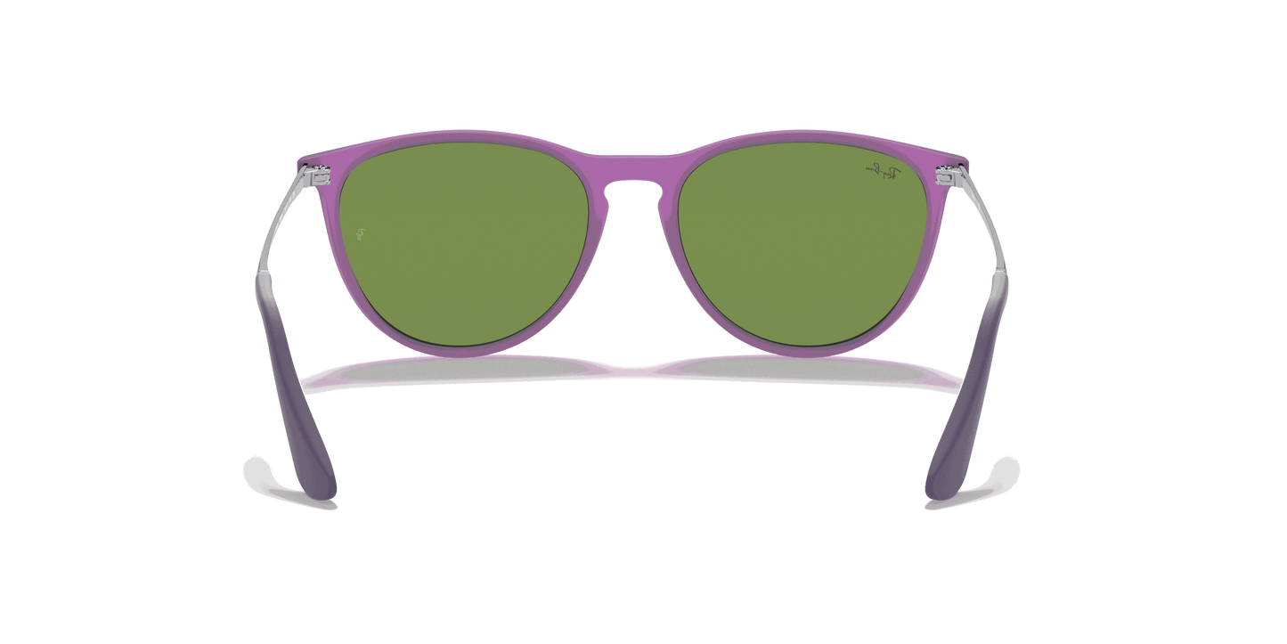 [Grey/Violet Lenses, Matte Violet Fluo Frame]
