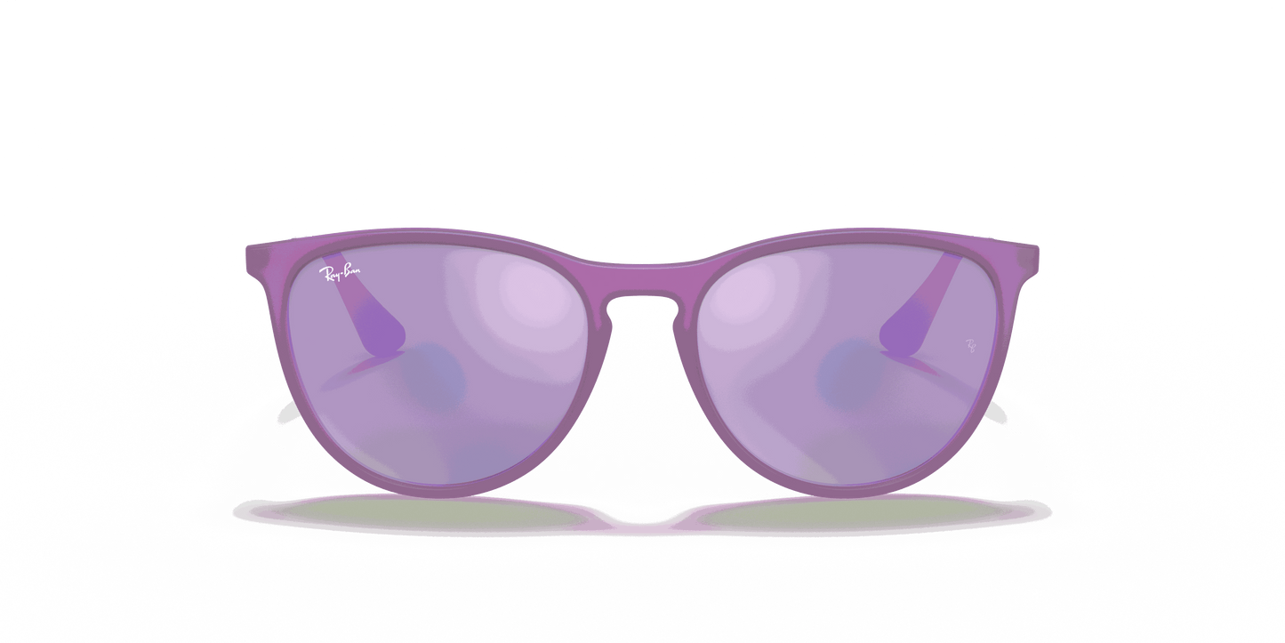 [Grey/Violet Lenses, Matte Violet Fluo Frame]