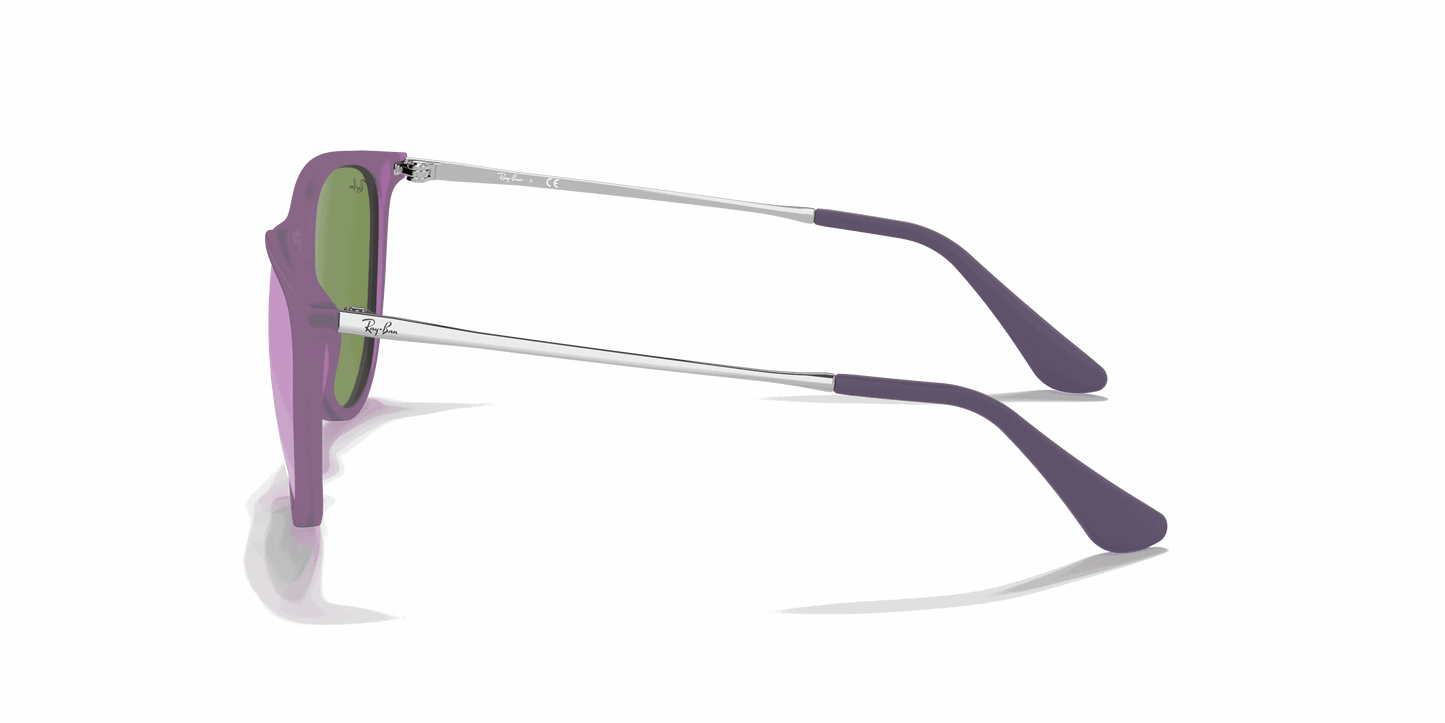 [Grey/Violet Lenses, Matte Violet Fluo Frame]