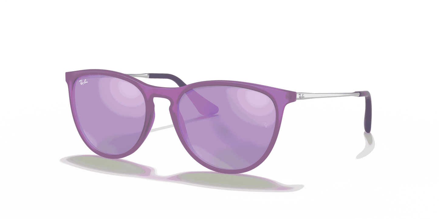 [Grey/Violet Lenses, Matte Violet Fluo Frame]