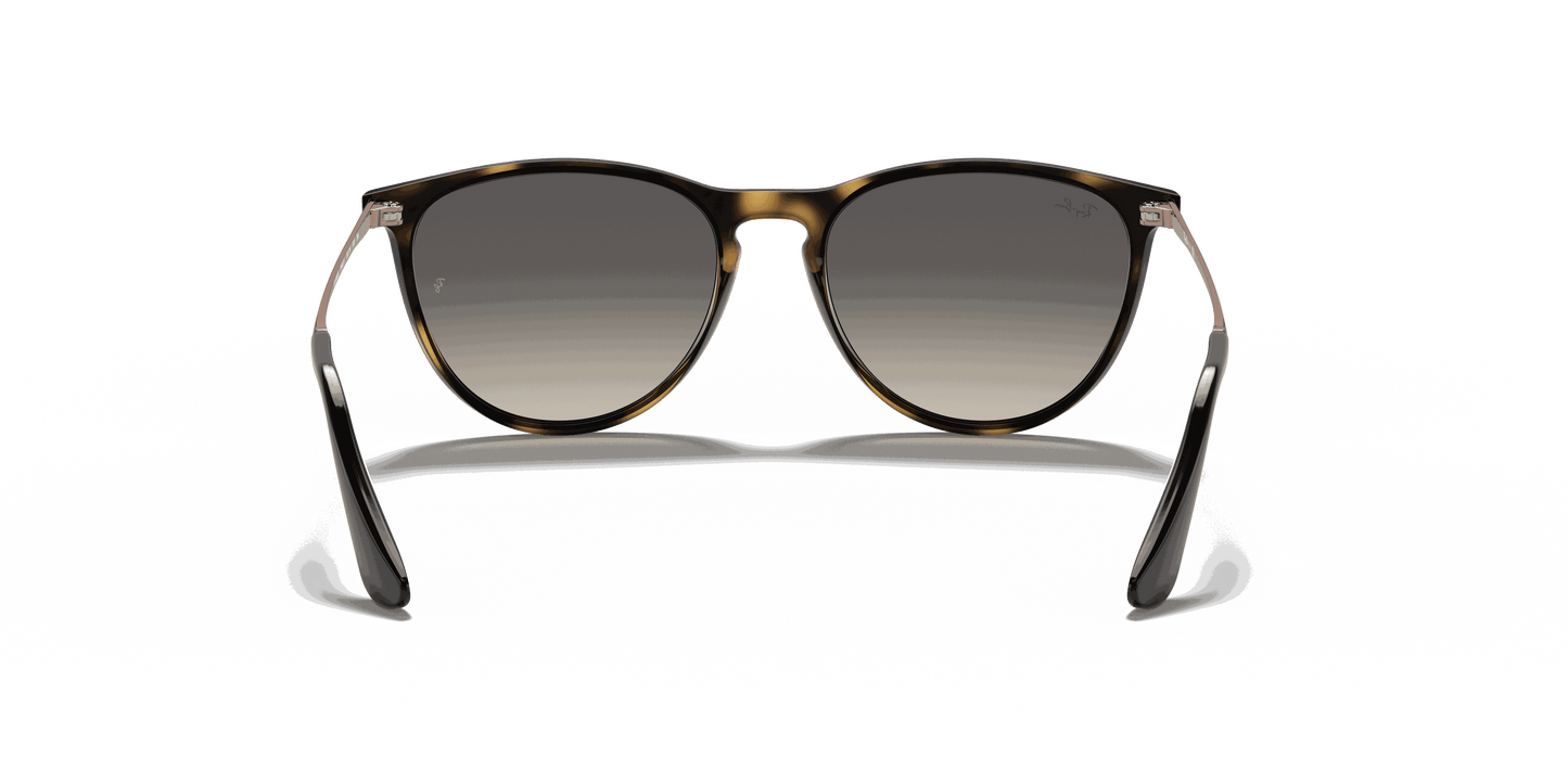 [Grey Lenses, Polished Havana Frame]