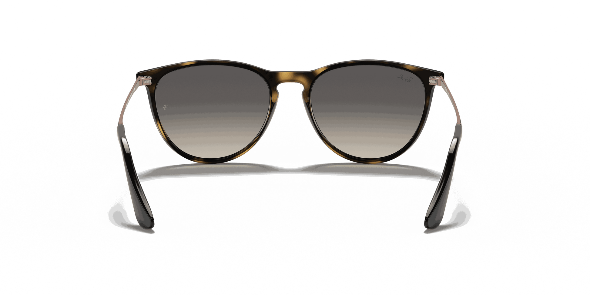 [Grey Lenses, Polished Havana Frame]