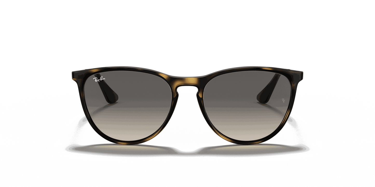 [Grey Lenses, Polished Havana Frame]