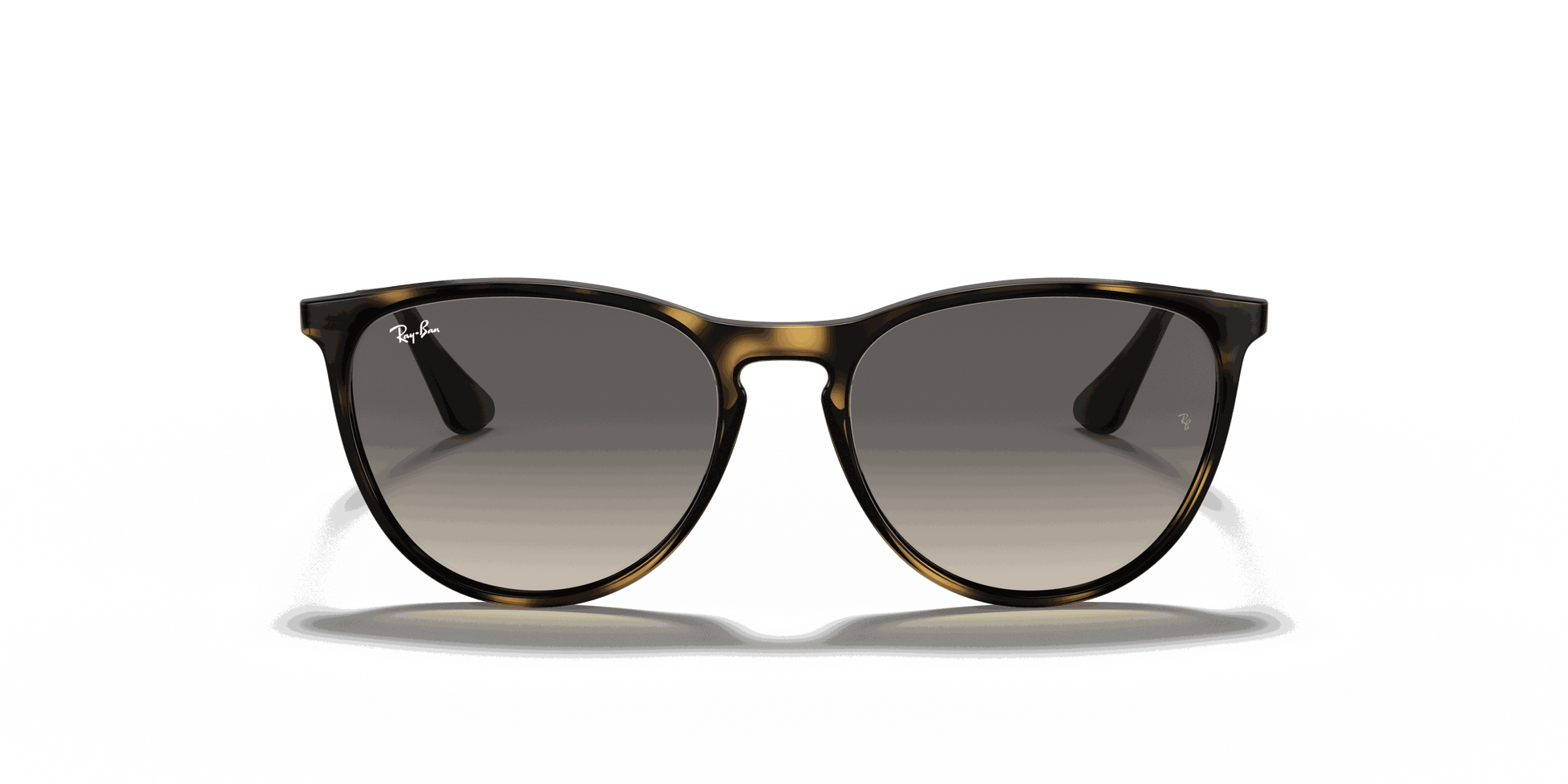 [Grey Lenses, Polished Havana Frame]