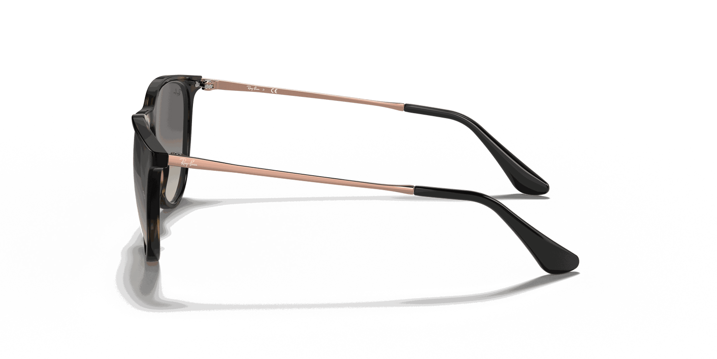 [Grey Lenses, Polished Havana Frame]