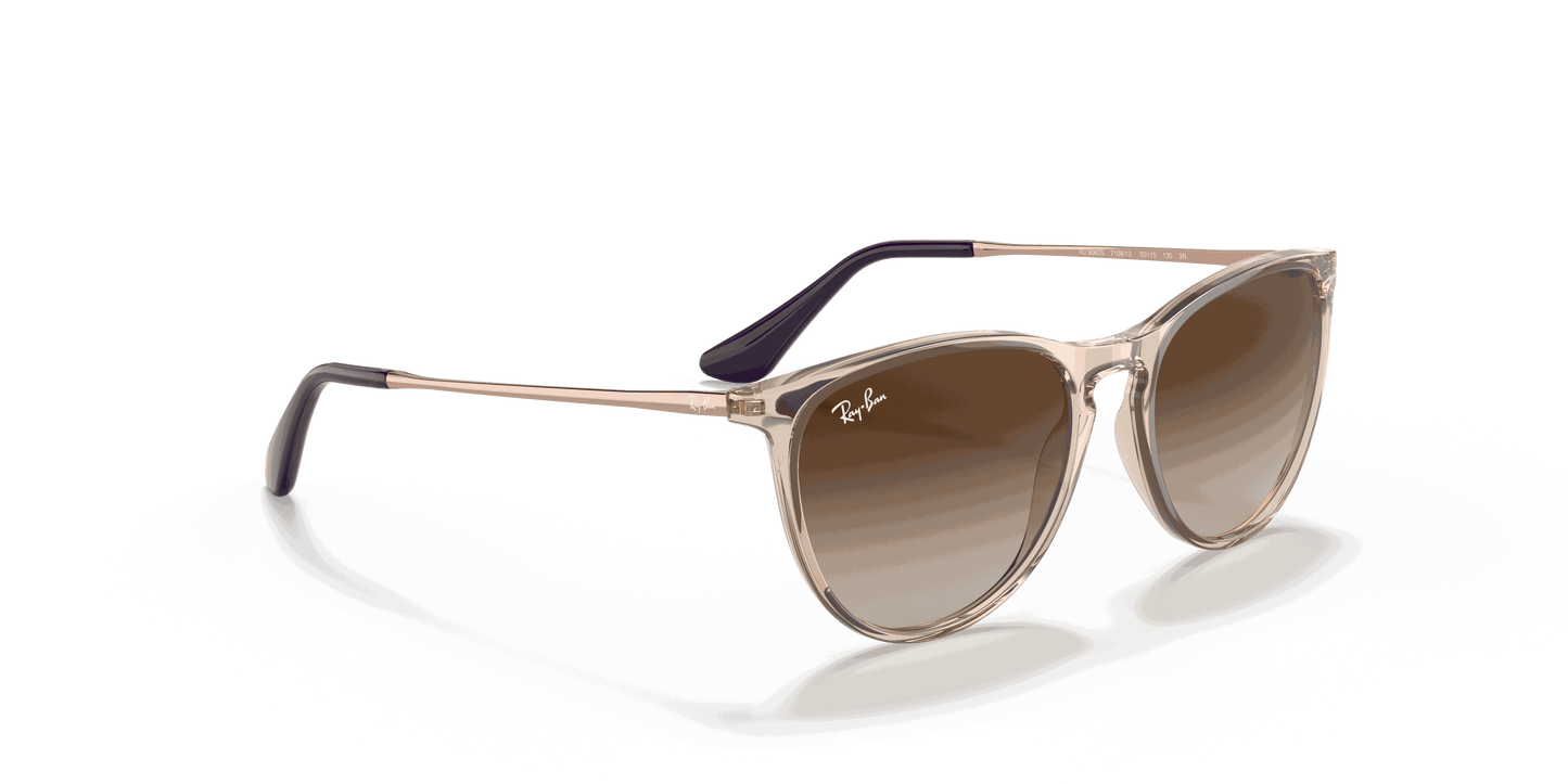 [Gradient Brown Lenses, Polished Transparent Light Brown Frame]