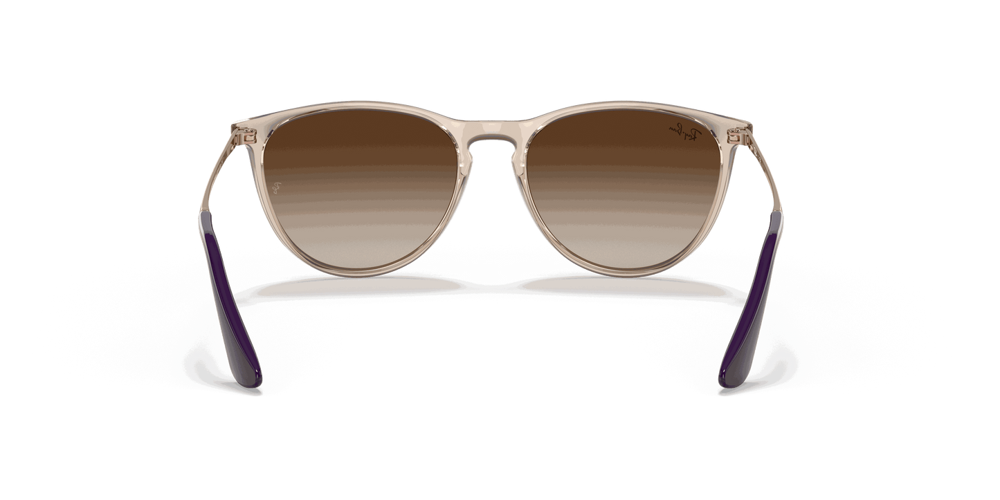 [Gradient Brown Lenses, Polished Transparent Light Brown Frame]