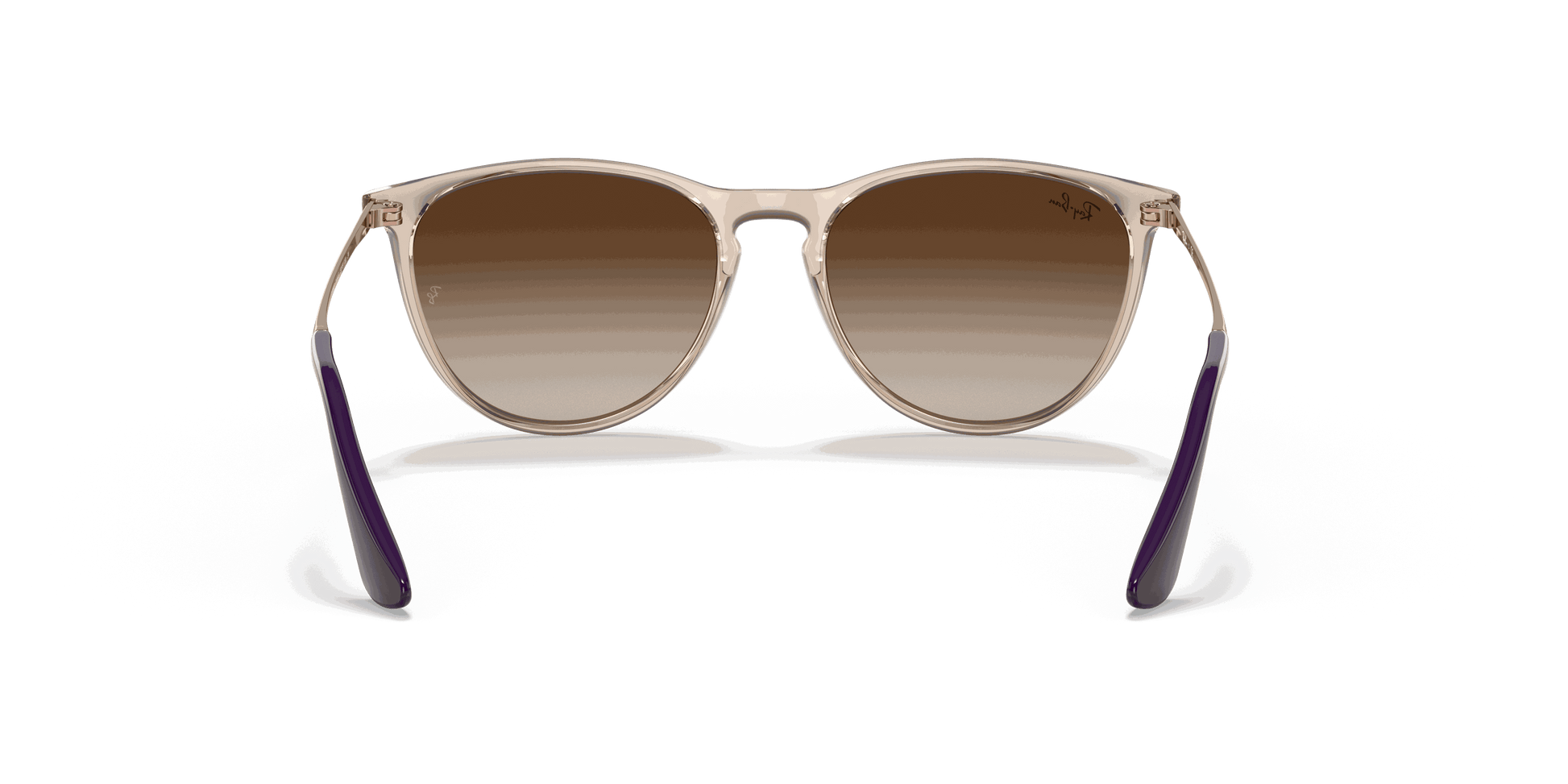 [Gradient Brown Lenses, Polished Transparent Light Brown Frame]