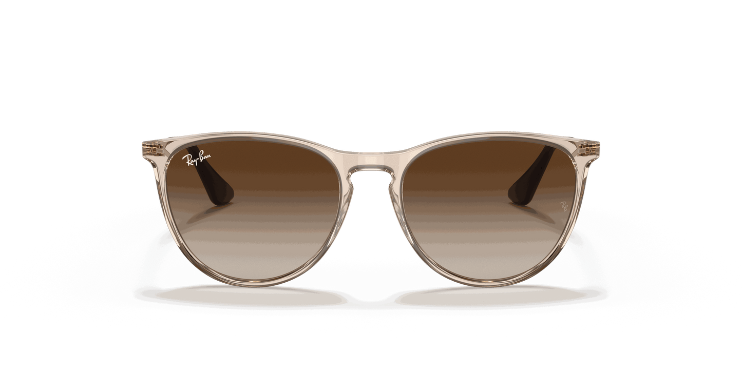 [Gradient Brown Lenses, Polished Transparent Light Brown Frame]