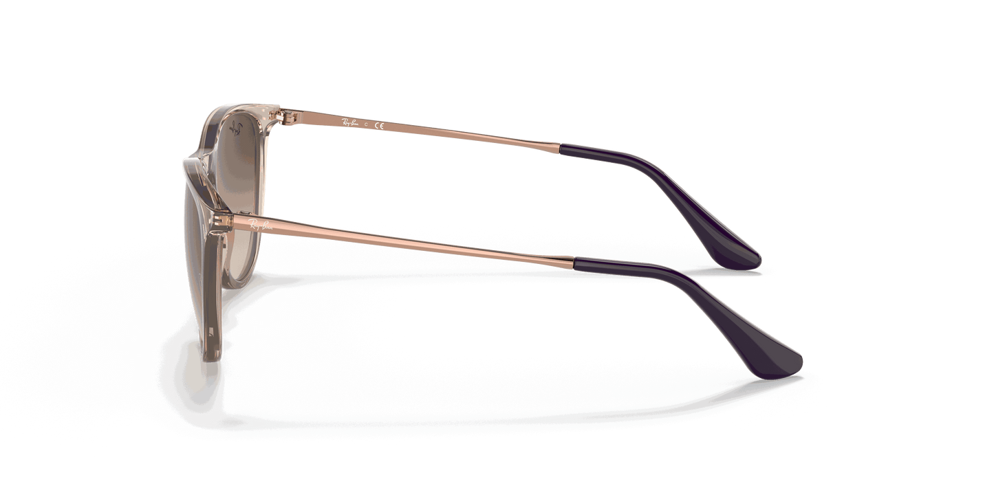 [Gradient Brown Lenses, Polished Transparent Light Brown Frame]