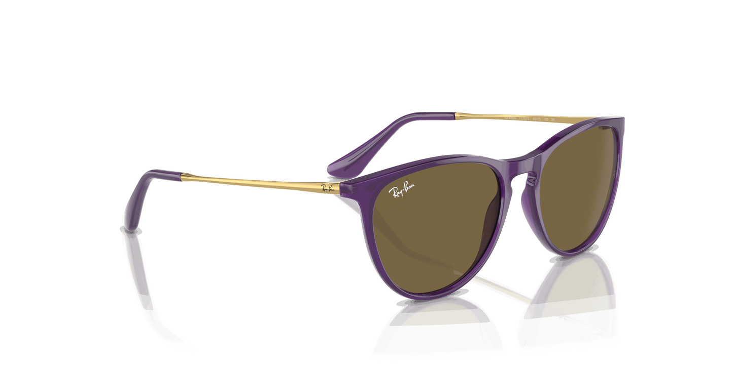 [Dark Brown Lenses, Polished Opal Violet Frame]