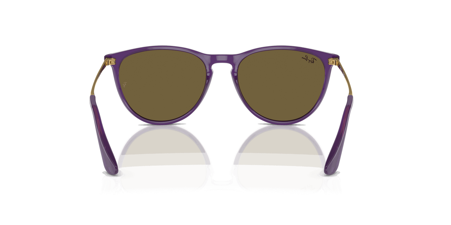 [Dark Brown Lenses, Polished Opal Violet Frame]